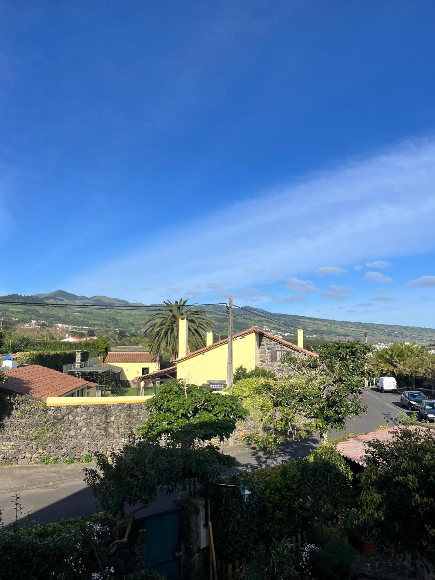 Casa Das Palmeiras São Vicente Ferreira Exteriör bild